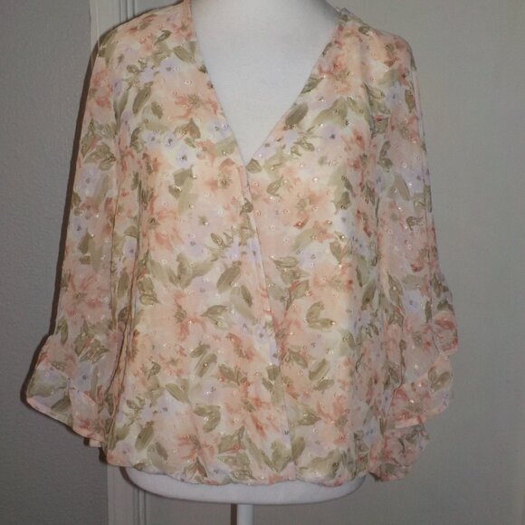 DAYTRIP FOR BUCKLE MS SIZE X-LARGE FLORAL PRINT CHIFFON SWISS DOT BLOUSE - Picture 3 of 10